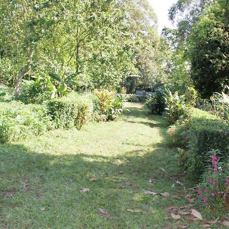 Bema Farm Vila Sao Jose Exterior foto