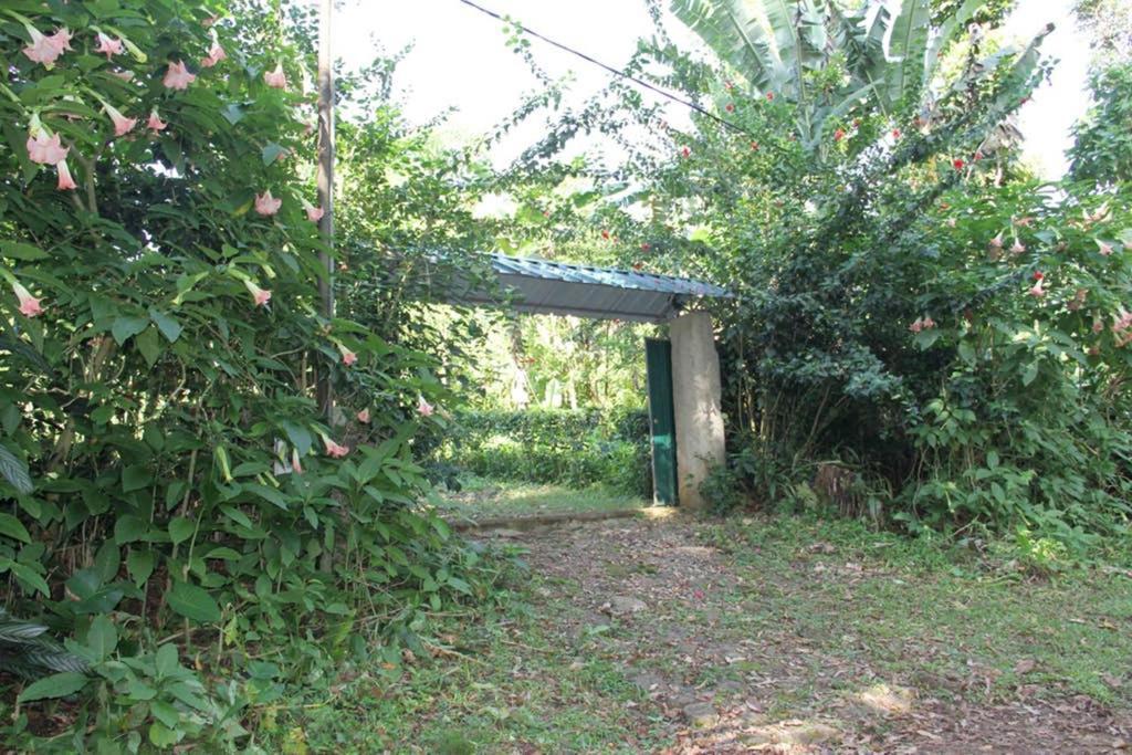 Bema Farm Vila Sao Jose Exterior foto