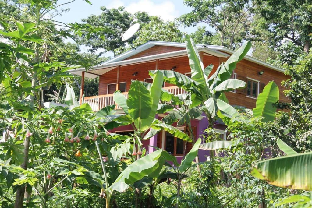 Bema Farm Vila Sao Jose Exterior foto