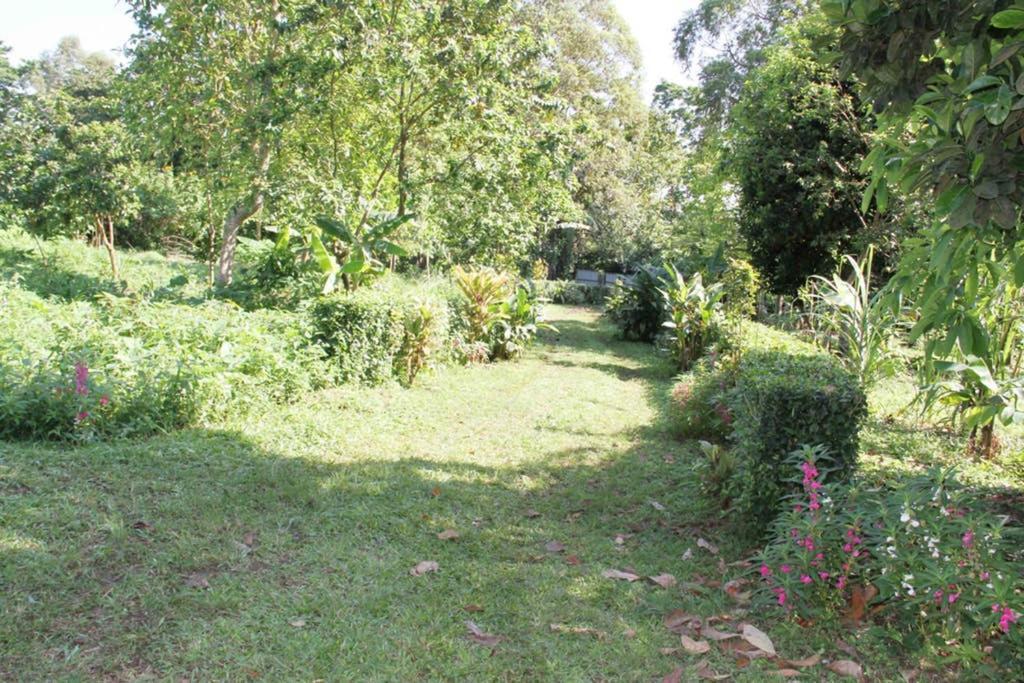 Bema Farm Vila Sao Jose Exterior foto